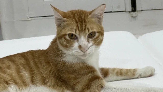 My handsome face 